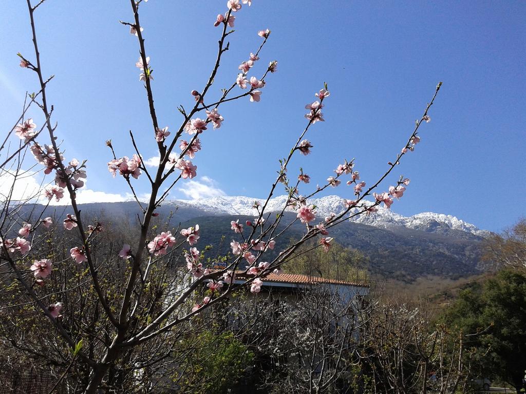 Guest house Akamatis Giorgos Therma (Samothraki)