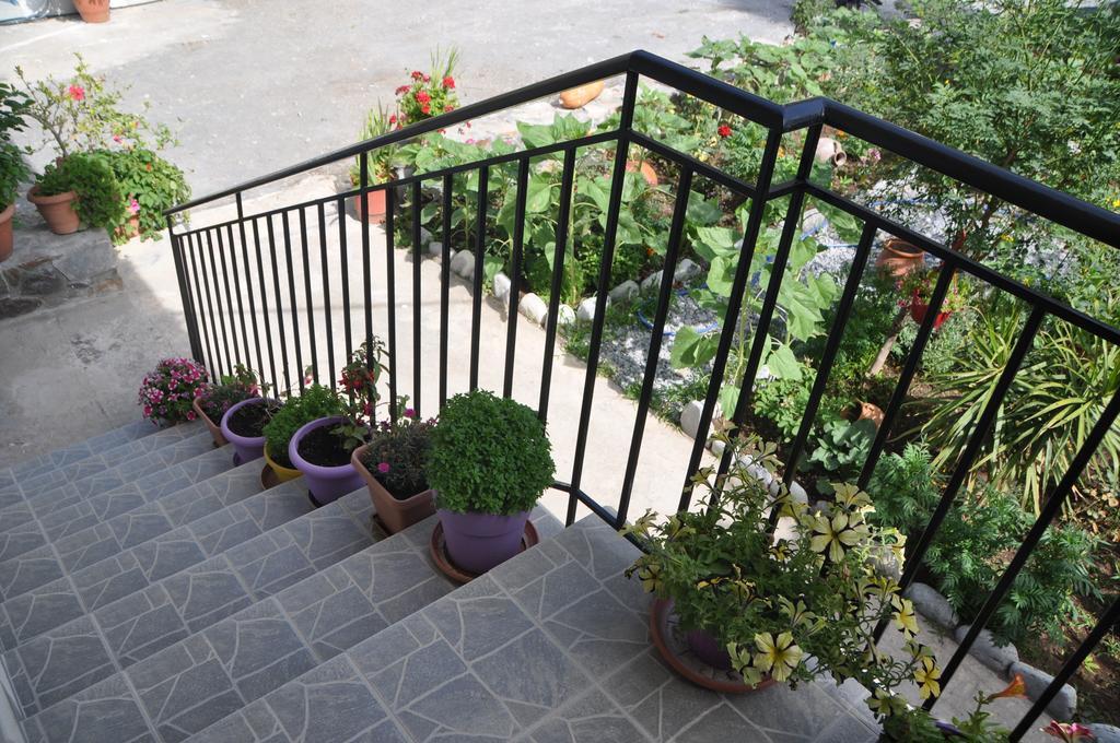 Guest house Paralia Agia Roumeli