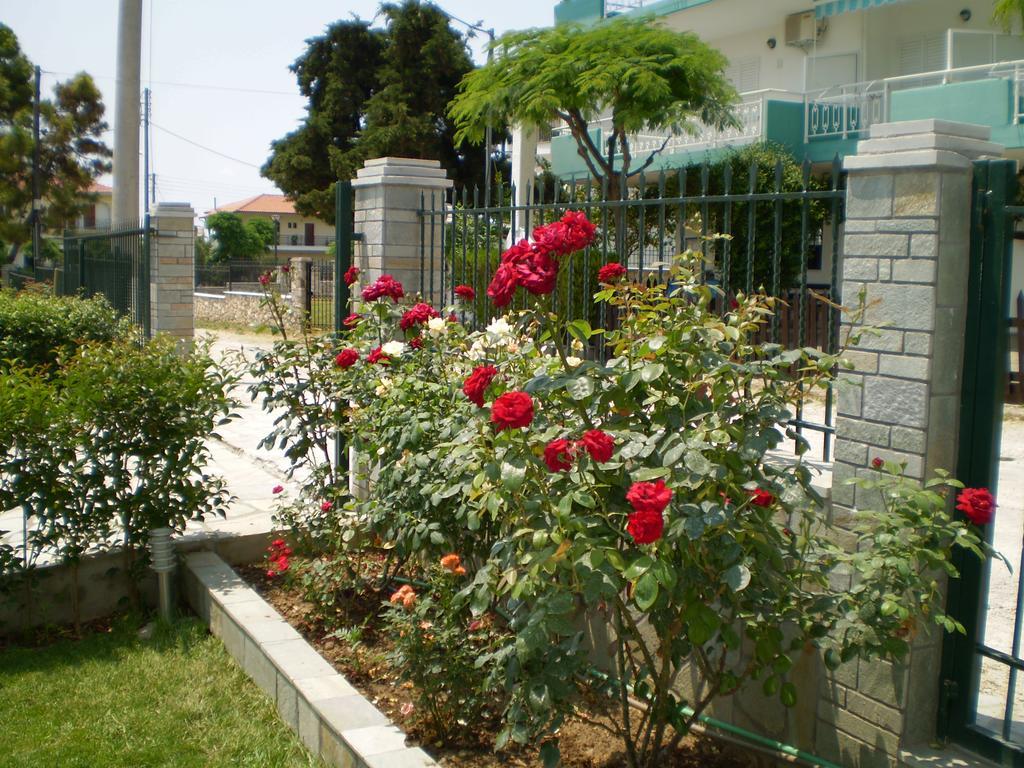 Pavloudis