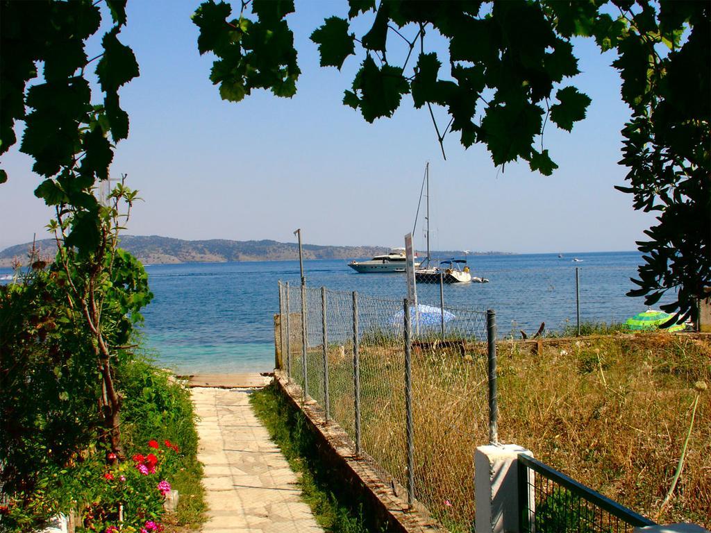 Lena Blue Sea