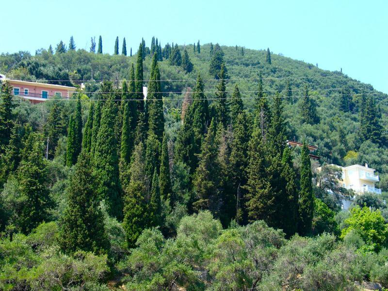 Apartment Lena Blue Sea Kalami (Corfu)