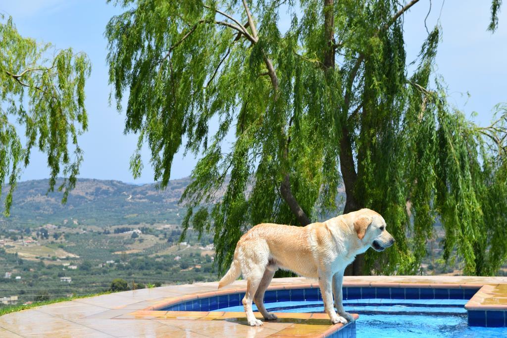 Villa Aspalathos Filippos