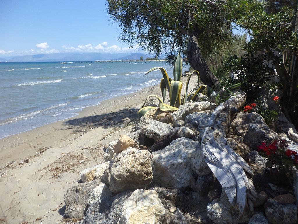 Summer House On The Sandy Beach