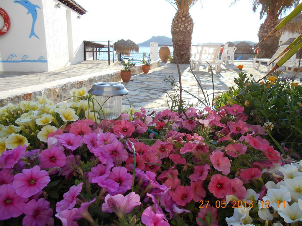 Apartment Agelica
