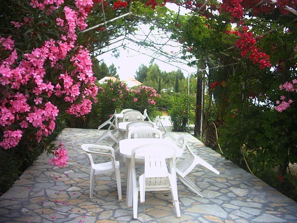 Apartment Polymnia Spartia (Kefalonia)