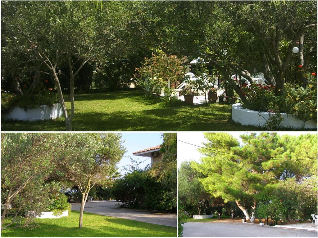 Apartment Polymnia Spartia (Kefalonia)