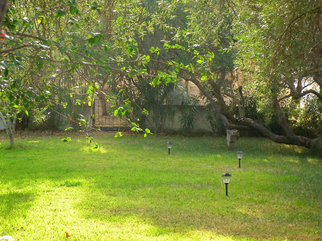 Apartment Polymnia *