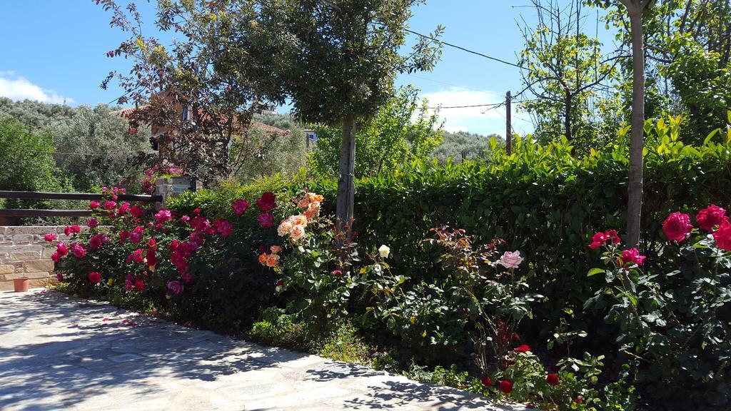 Guest house Greco