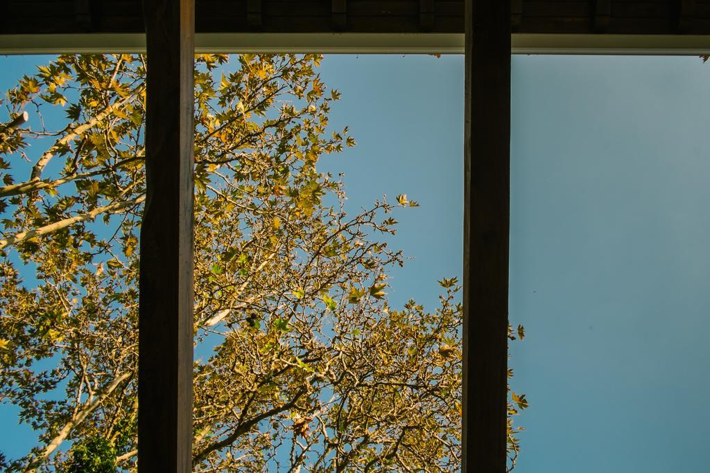 Guest house To Mpalkoni Chorefton
