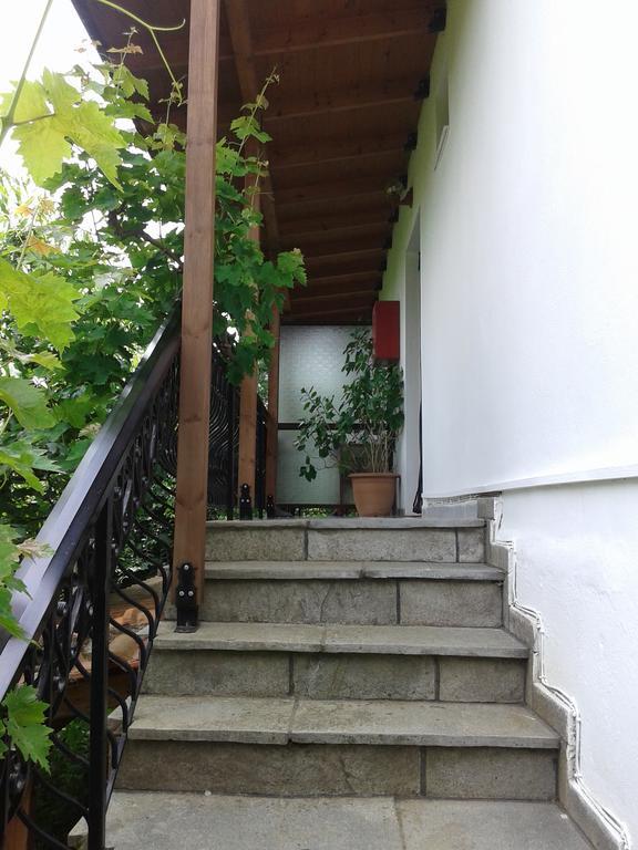 Guest house Akamatis Giorgos