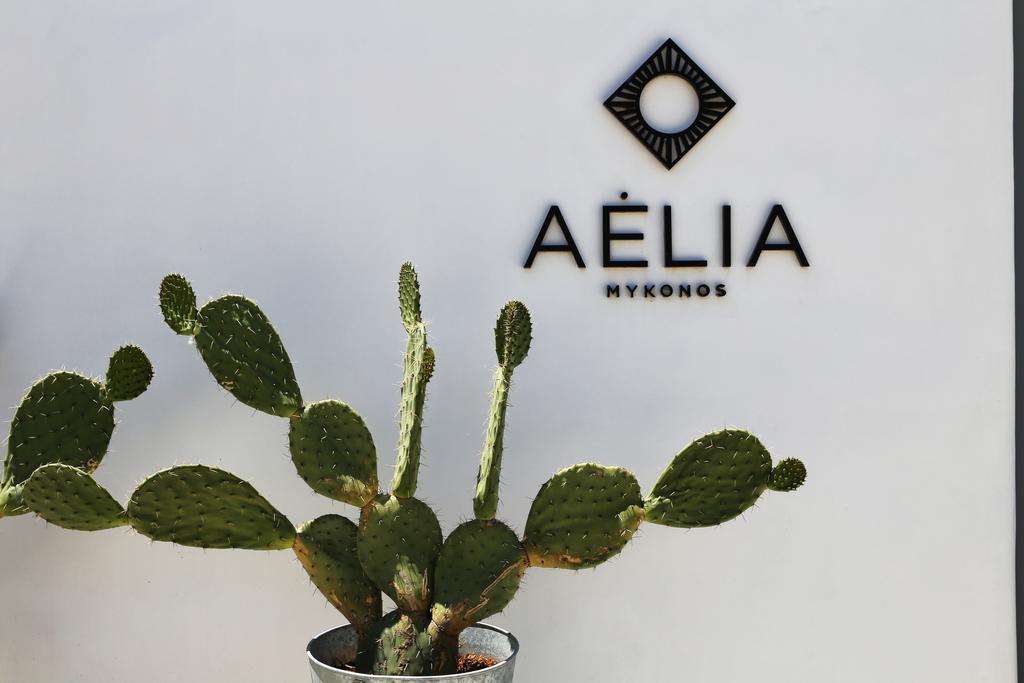 Hotel Aelia Mykonos 4*