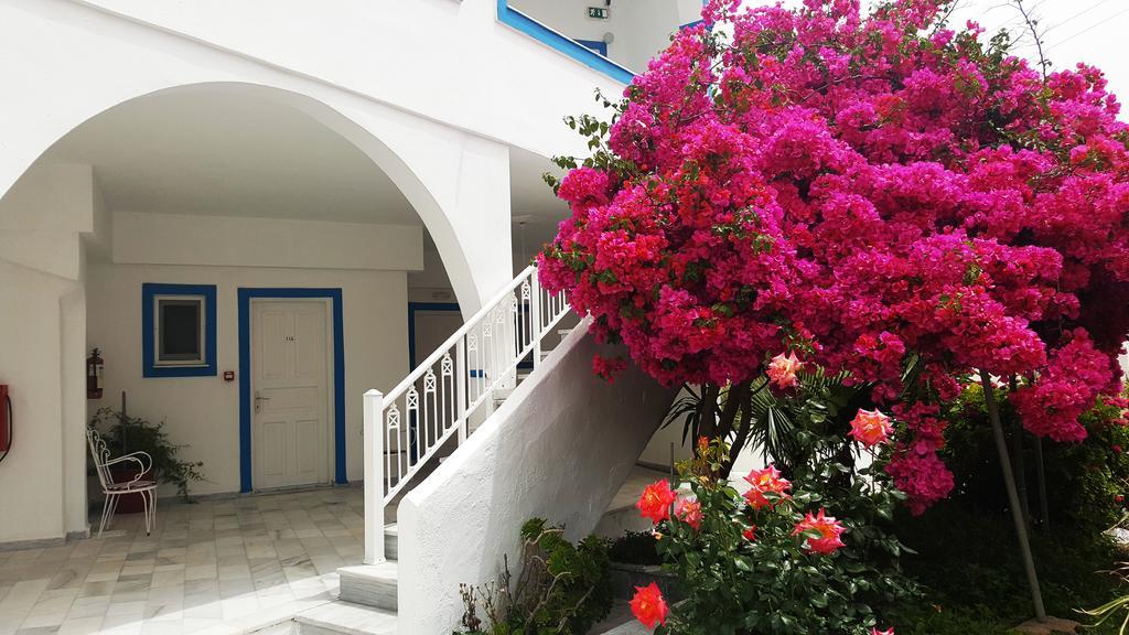 Lodos Karterados (Santorini)