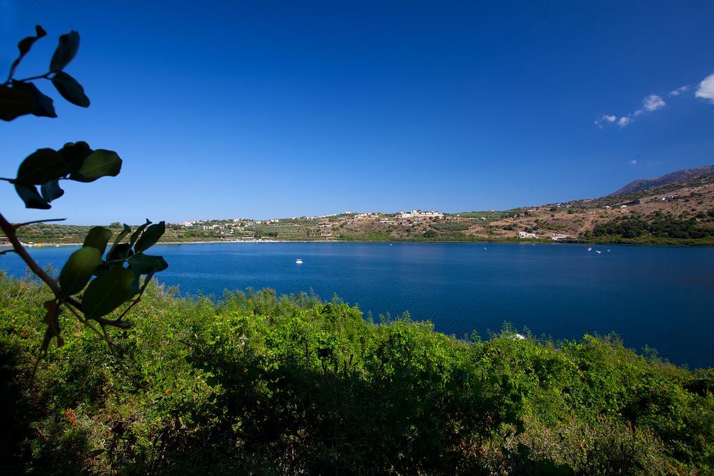 Bluefairy Kavallos (Crete)