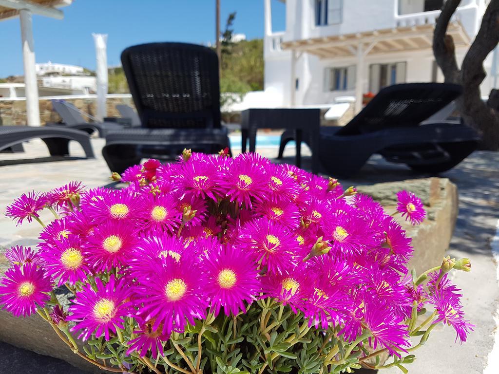 Guest house Varnali Small Boutique Mykonos Town