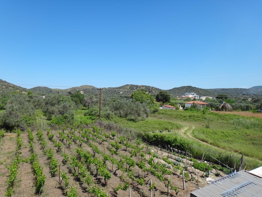 Aggeliko