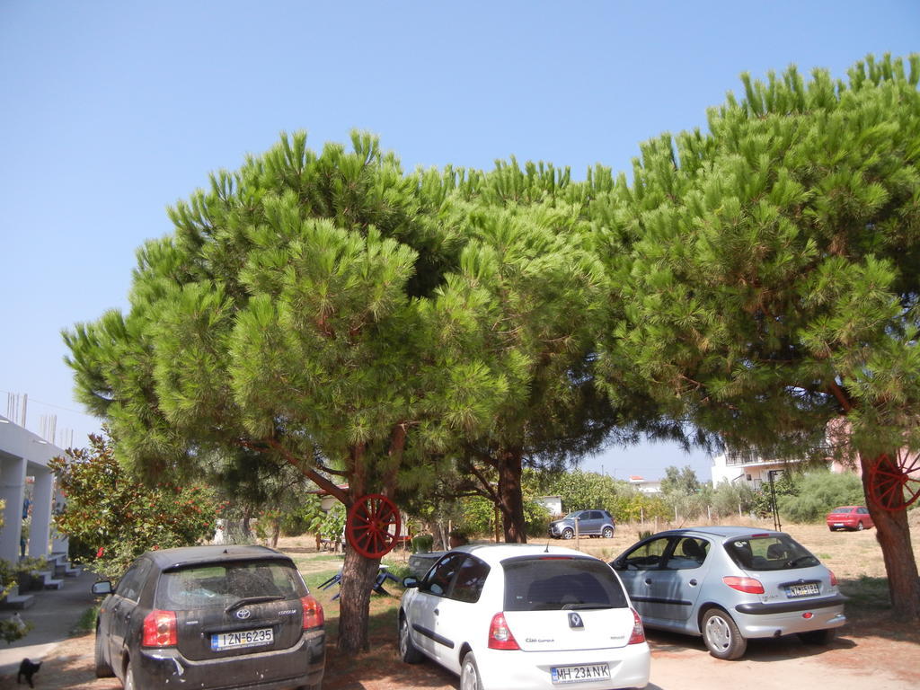 Apartment Lakis Prinos (Thasos)