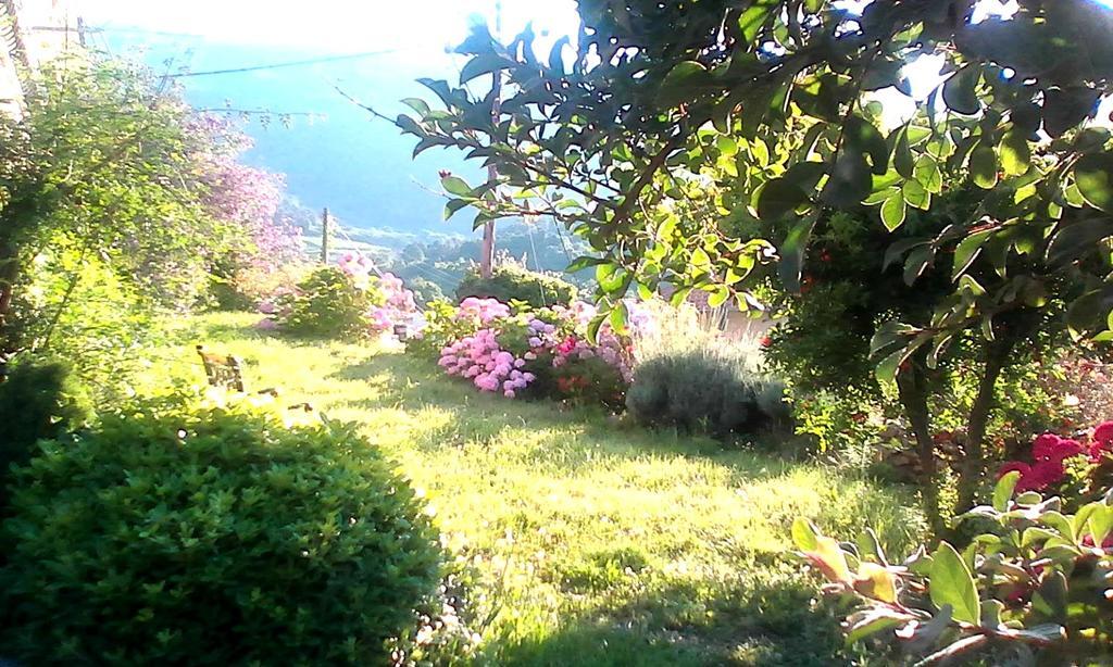 Kandilari