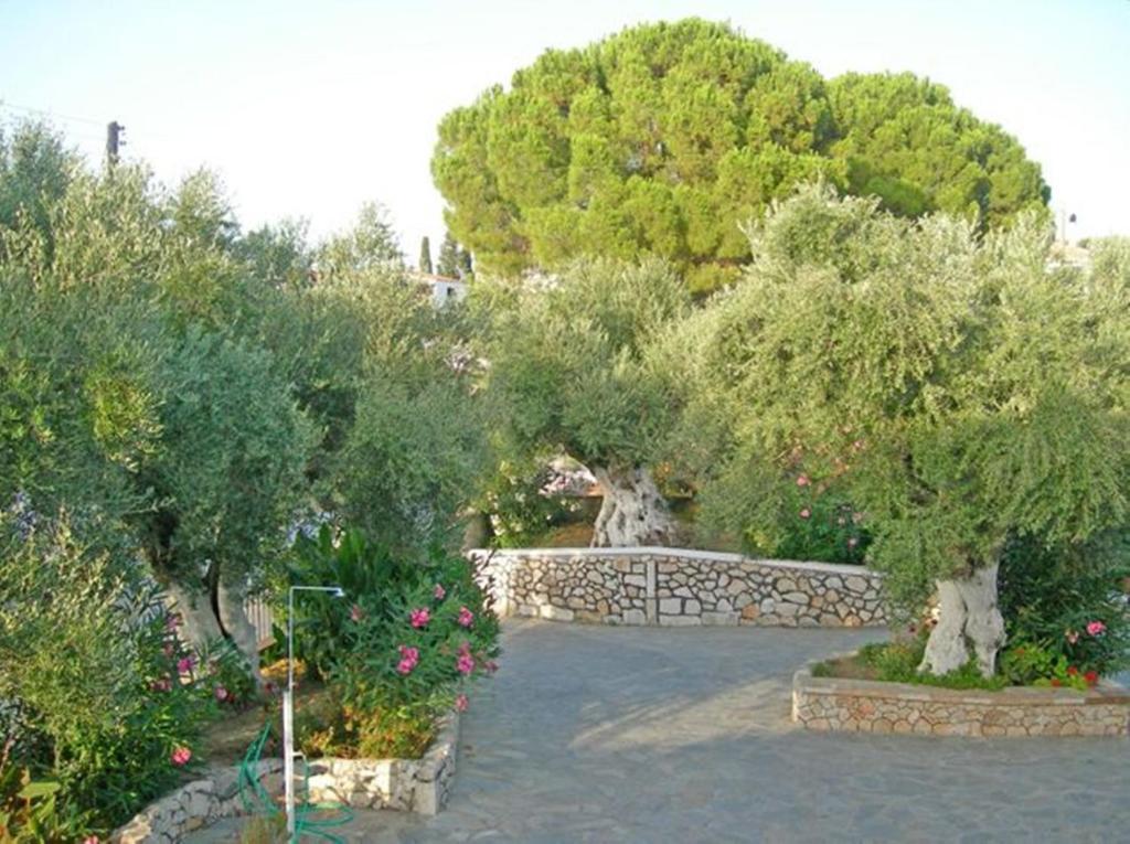 Irini Studios Apartment