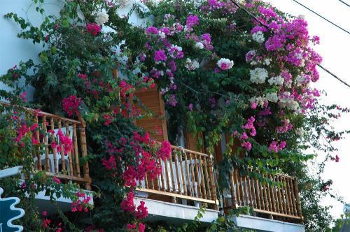 Hotel Arian Parikia (Paros)