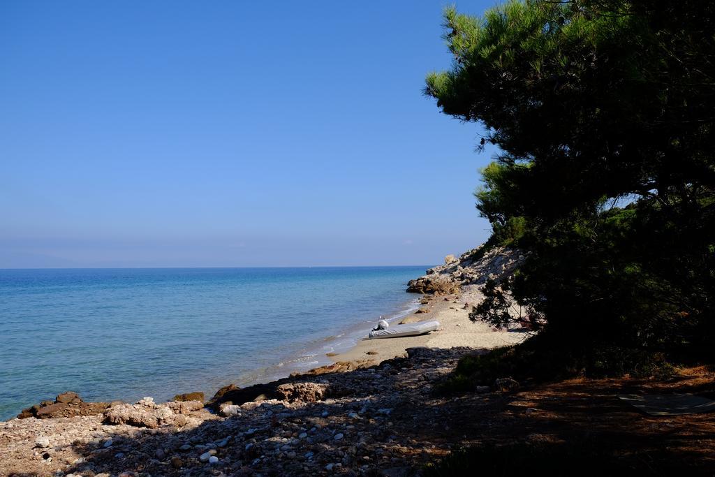 Ladanos Thassos Kallirakhi
