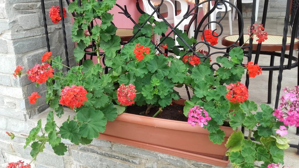 Apartment Elianthos *