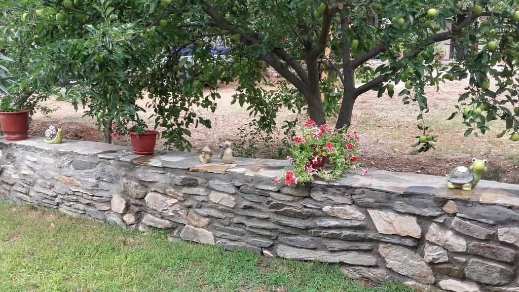 Apartment Elianthos