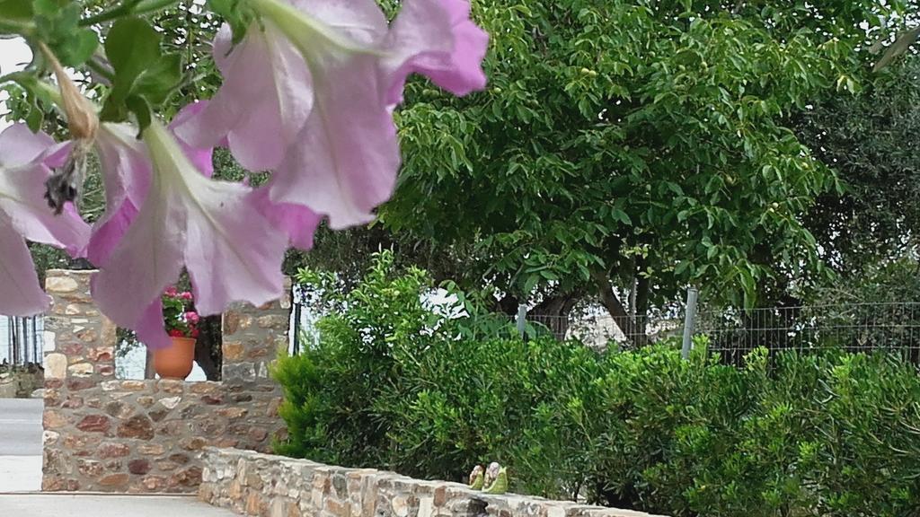 Elianthos