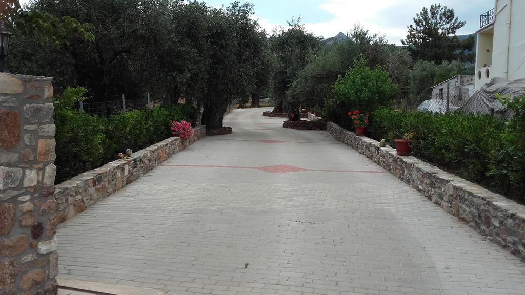 Apartment Elianthos Skala Kallirakhis
