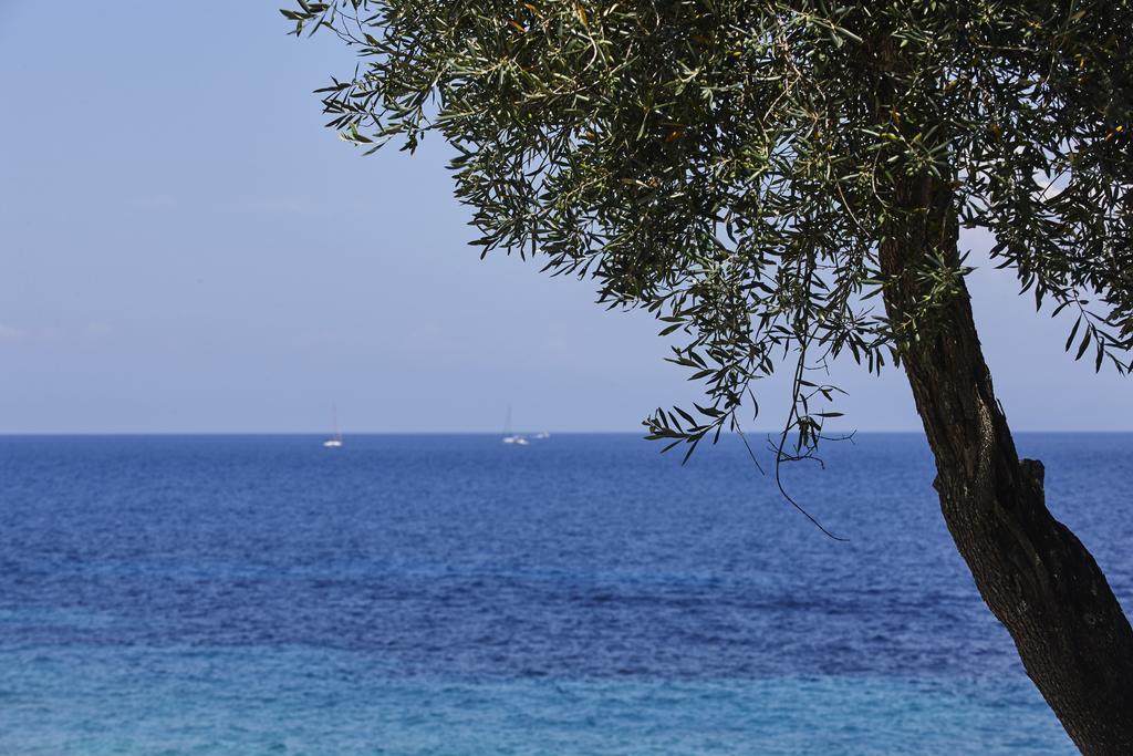 Anassa Mare Villas & Residences Gaios