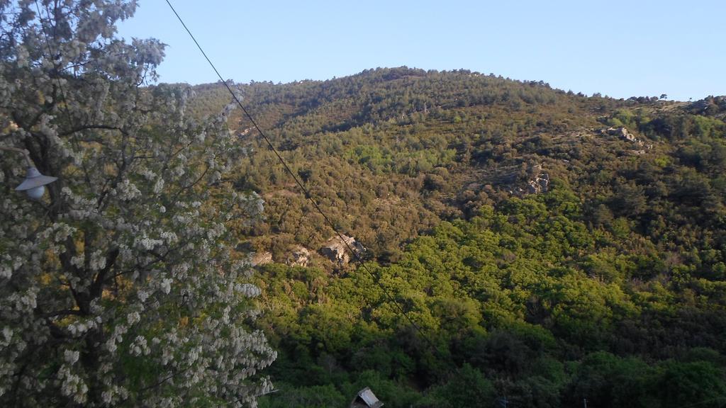 Guest house To Valsamo *