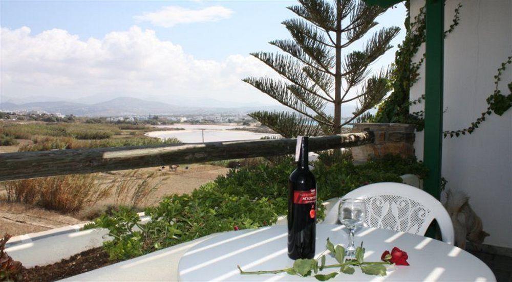 Apartment Panoramic View Agios Prokopios (Naxos)