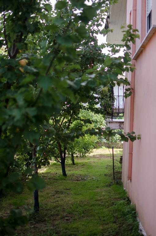 Apartment Ioannis Avrades