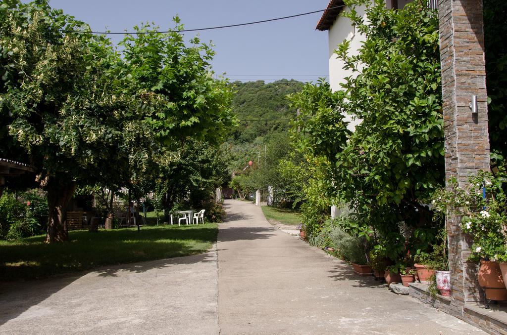 Ioannis Avrades Agiakampos (Volos)