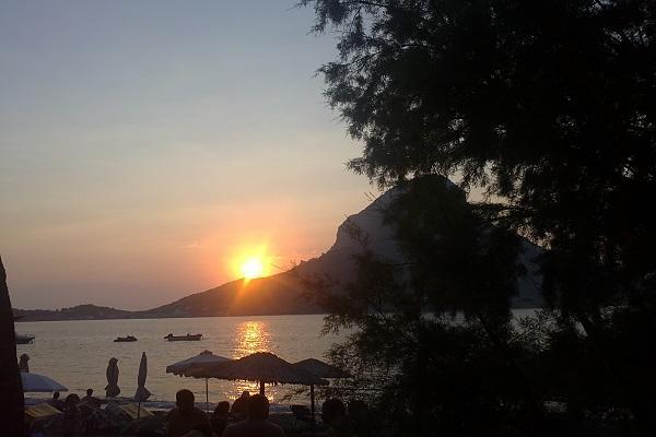 Melina's Sunset Myrties