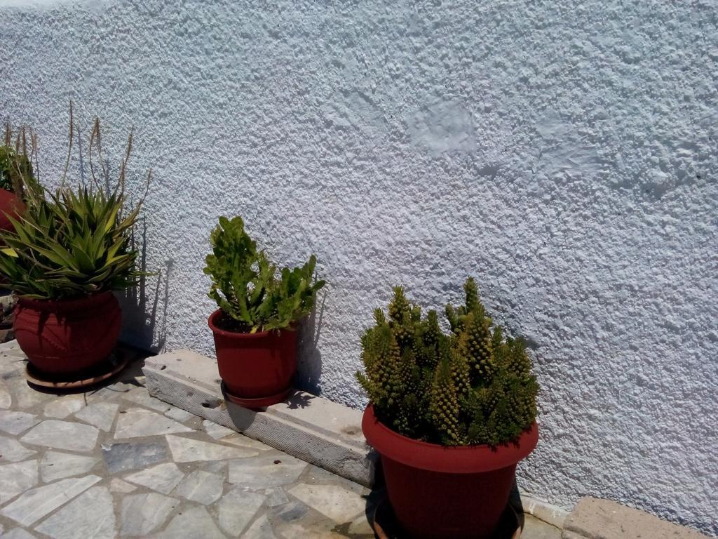 Omiros Vatera