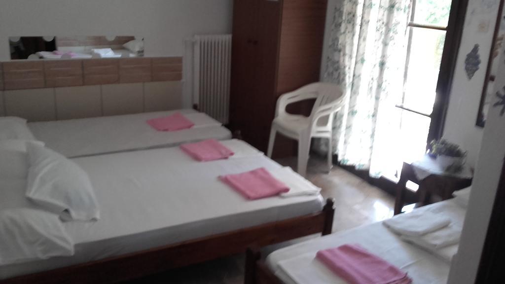 Apartment Theoxenia *