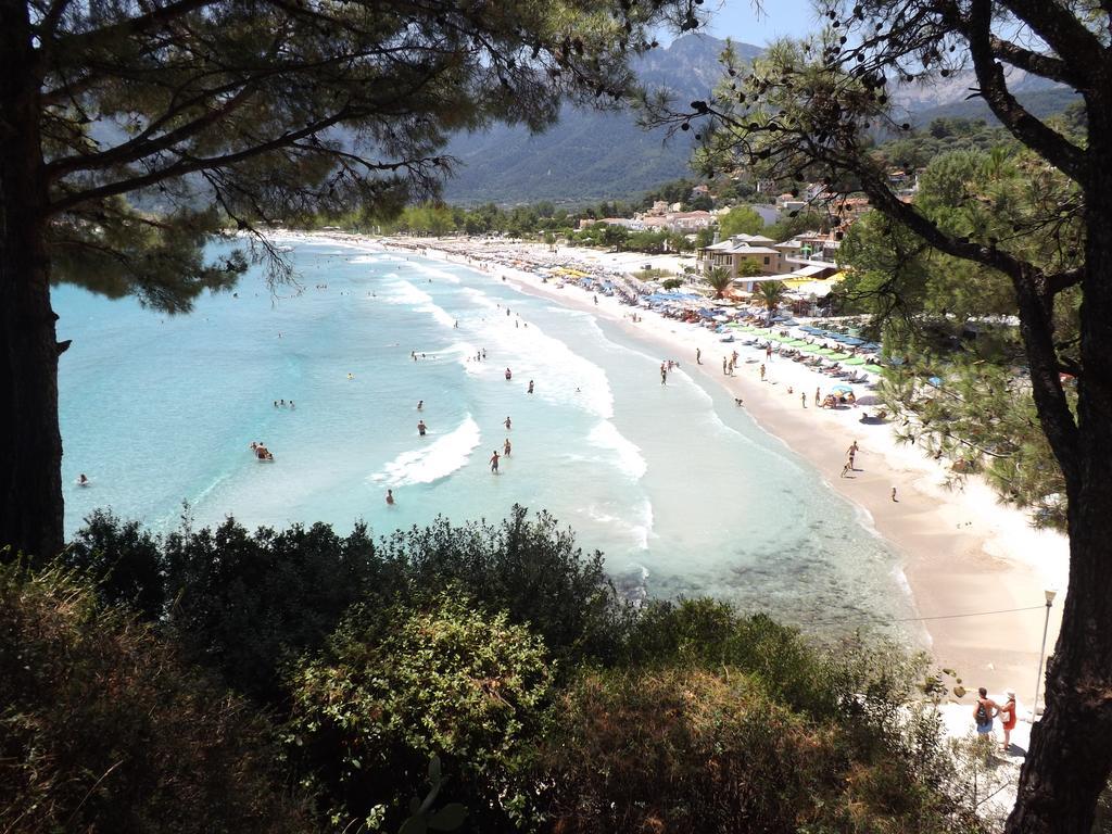 Studios Apollon