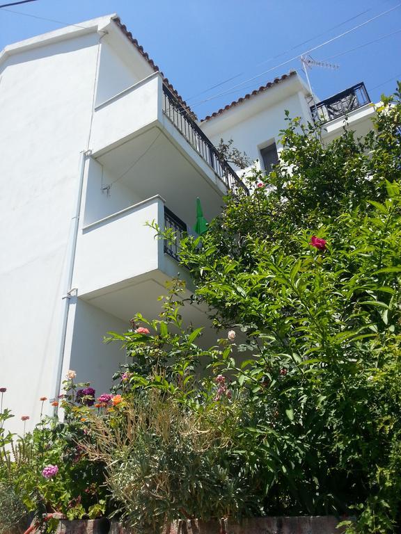 Guest house Friderica House