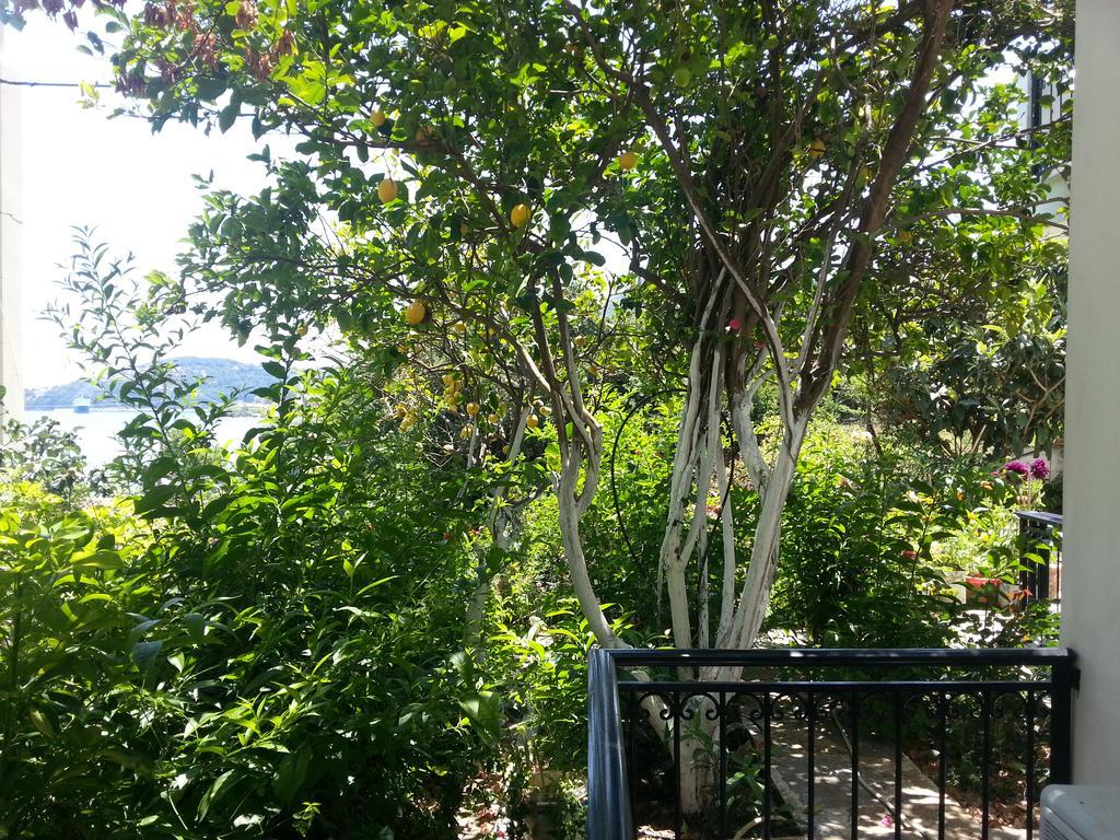 Guest house Friderica House