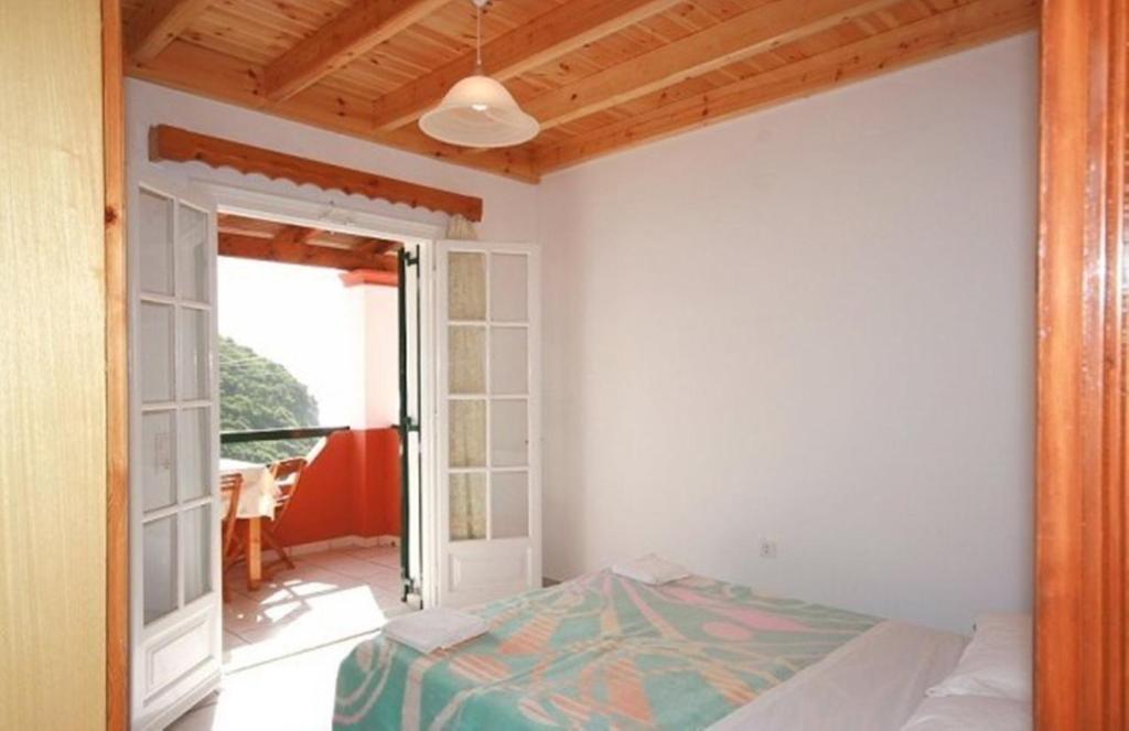 Apartment Paleopalace