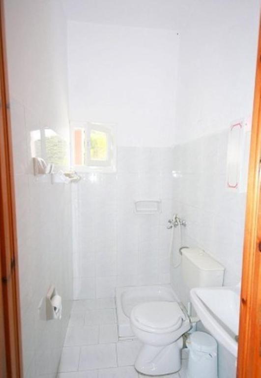 Apartment Paleopalace *