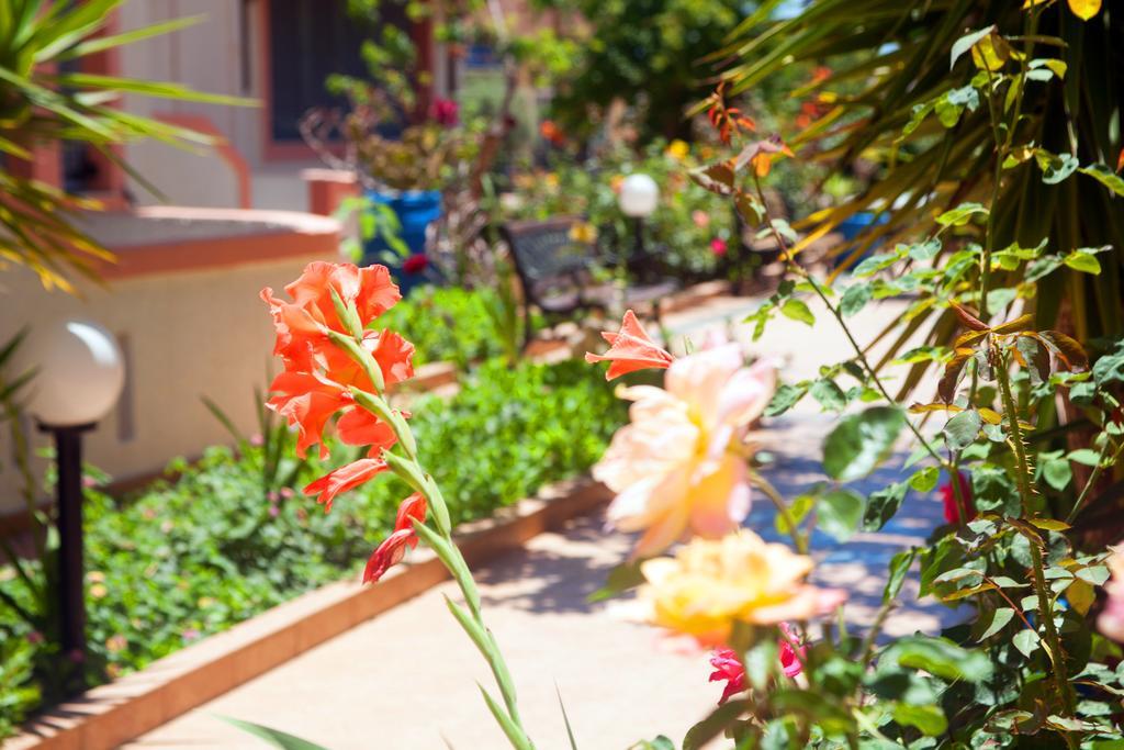 Apartment Palmira Makry Gialos (Crete)