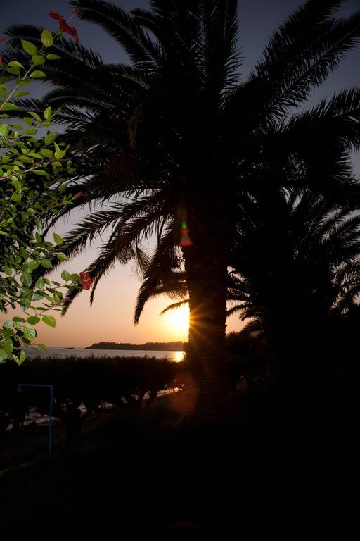 Palmira Makry Gialos (Crete)