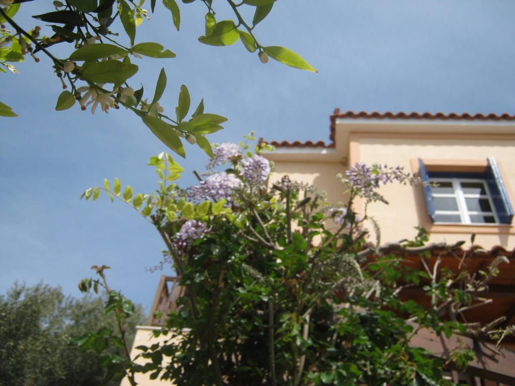 Aparthotel Panorama *