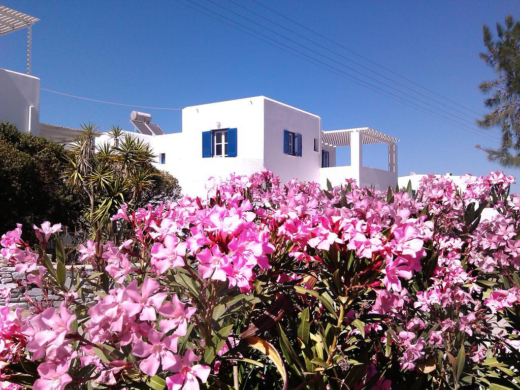 Apartment Nicos Studios & Apartments *