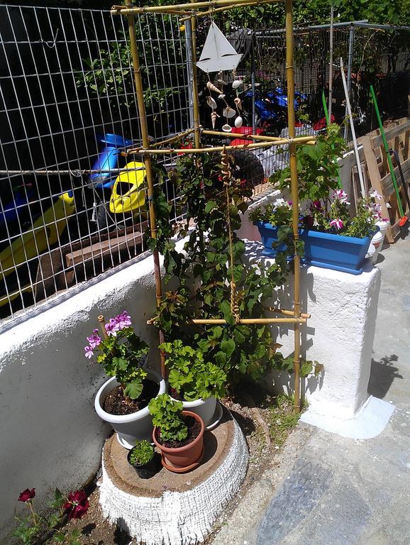 Apartment Amfi *