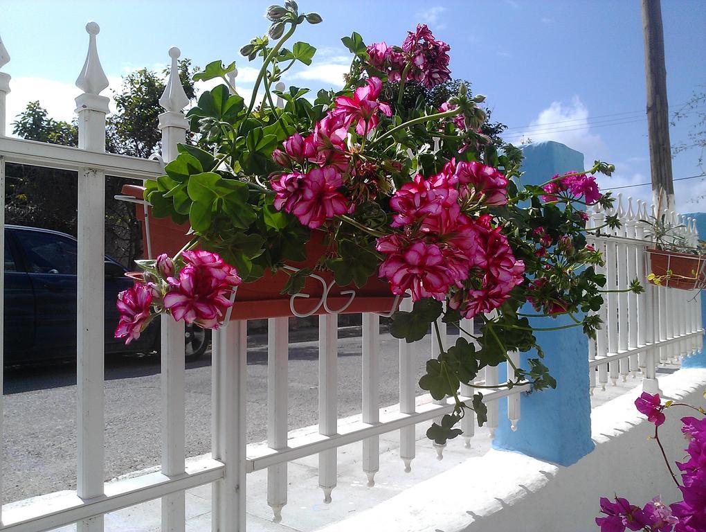 Apartment Amfi Kardamena (Kos)