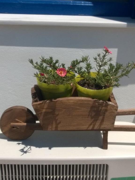 Apartment Stolidi *