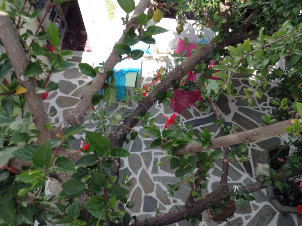 Hotel Arian 2*