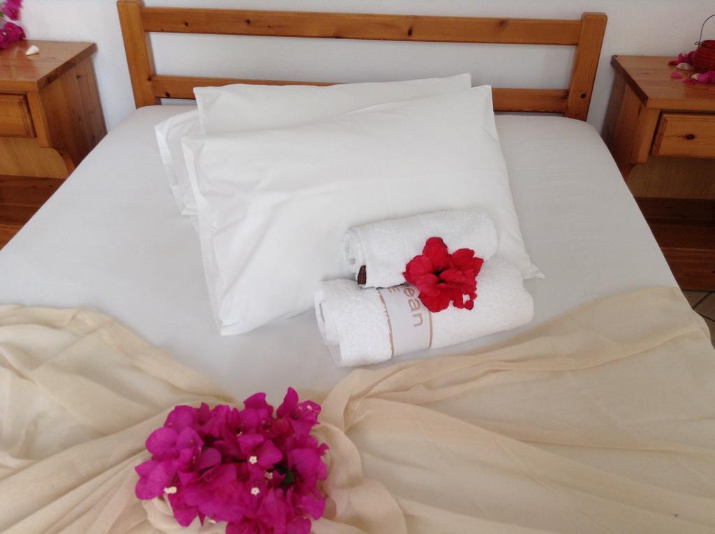 Hotel Arian